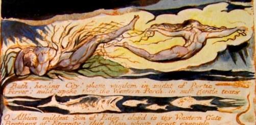 154P4130103jaSM- Vala trapping Albion in her nets and roots (1)