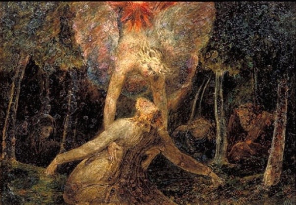 800x442_1538_002817 (1)