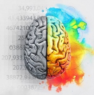 31AFF9EF00000578-0-Contrary_to_the_popular_belief_that_the_right_side_of_our_brains-a-4_1456740507649 (1)