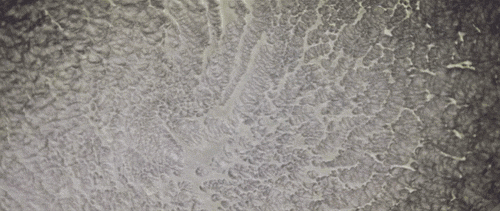 tumblr_mebqj2PXUD1rupgj7o2_r7_500