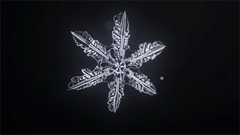101-a-magnified-snowflake-forming-the-six-sided-shape-is-universal-because-of-the-hexagonal-structure-of-water-crystals