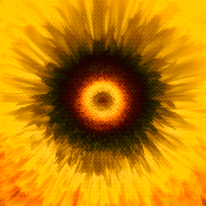 tumblr_nal4bhpqdg1txeruoo1_500