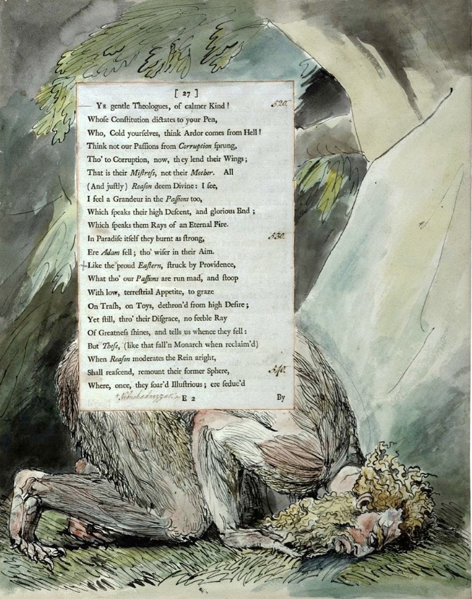 The Sleep of Imagination: William Blake and Edward Young's 'Night