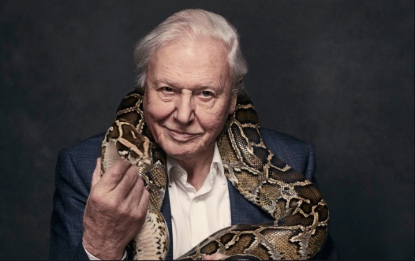 Screen Shot 2021-04-29 at 18.32.38