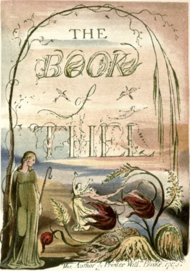 Screen Shot 2021-04-29 at 20.03.52