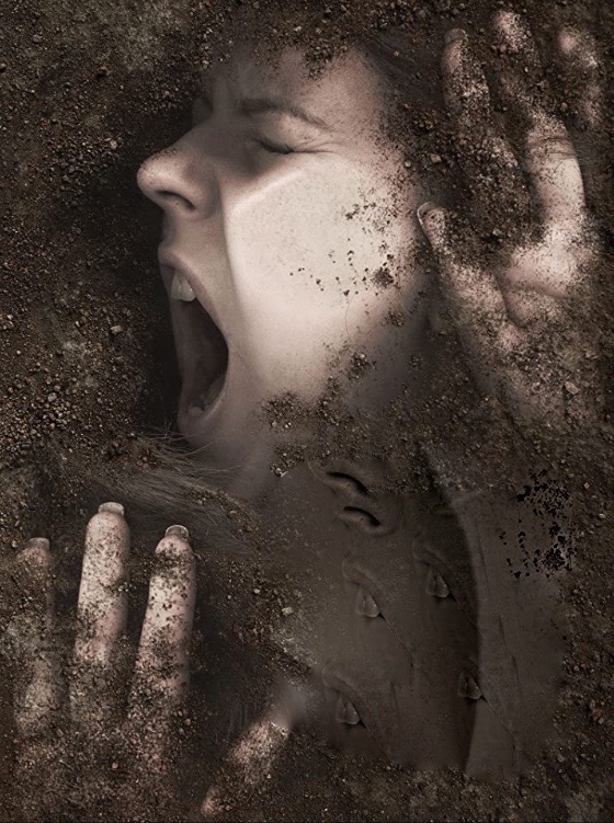 Screen Shot 2021-04-29 at 20.09.15 (1)