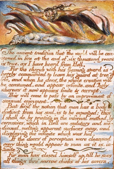 Screen Shot 2021-04-29 at 20.16.53