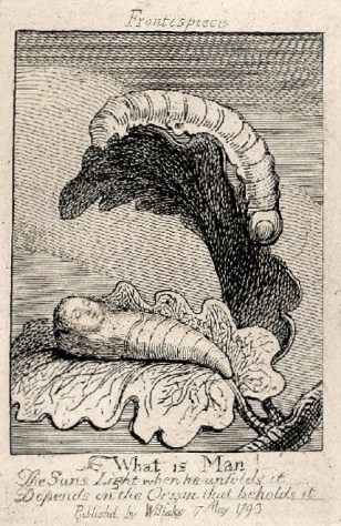 Screen Shot 2021-05-03 at 18.27.21