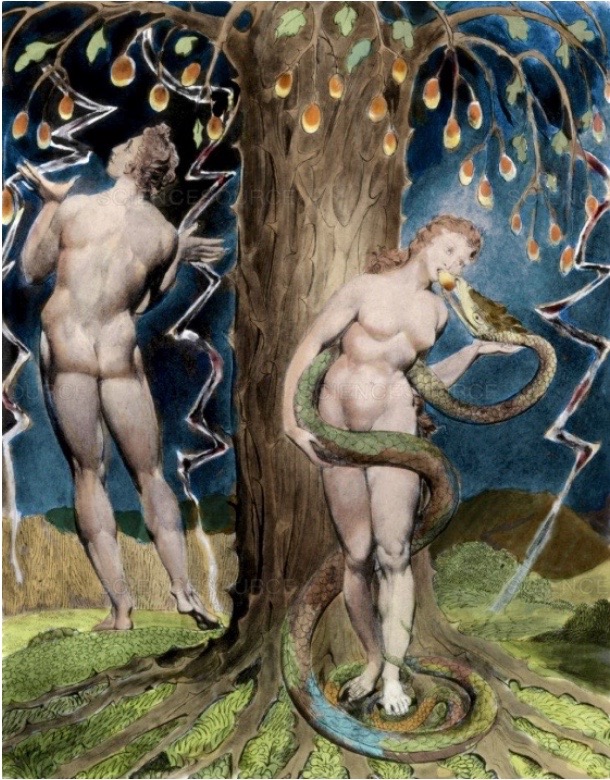 Screen Shot 2021-06-29 at 15.13.37-this