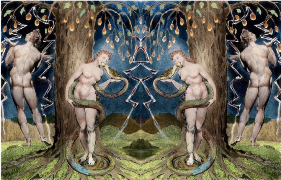 Screen Shot 2021-06-29 at 15.24.05