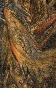 Screen Shot 2021-11-02 at 18.14.41