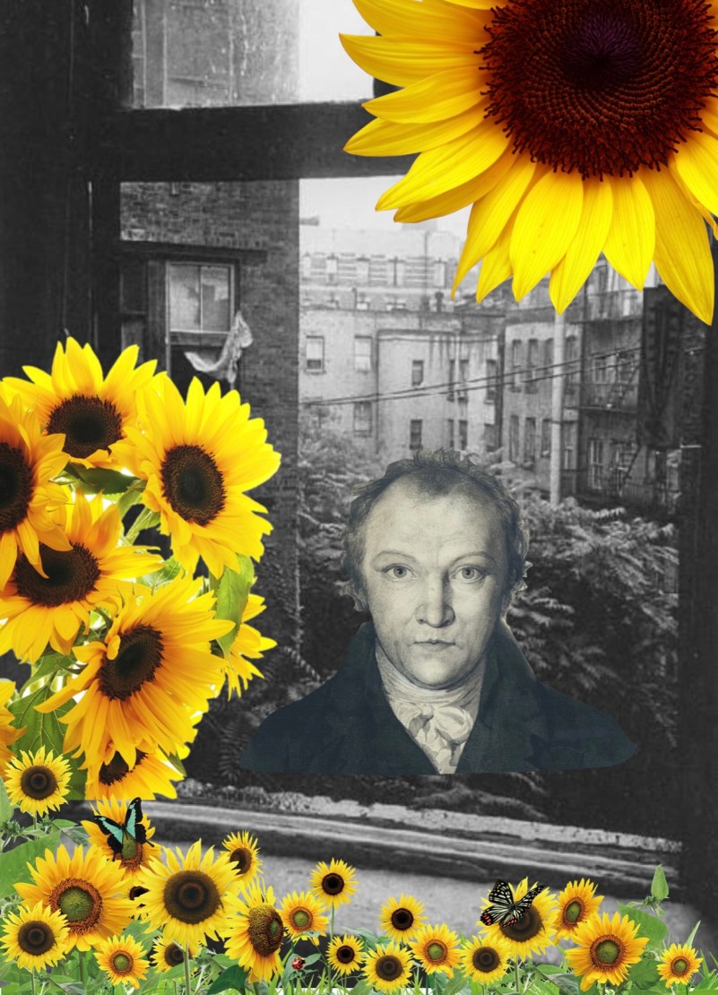 Screenshot 2022-02-23 at 12.18.27-OK