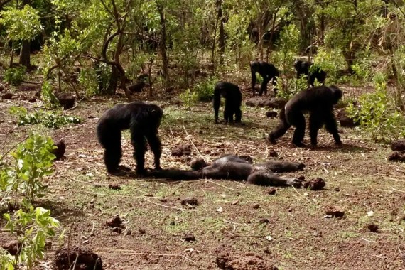 Screenshot 2022-03-02 at 18.54.29