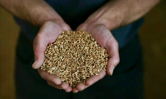 Screenshot 2022-03-31 at 09.31.05