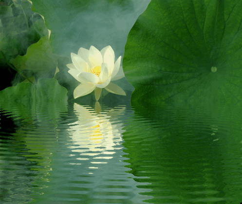 3031353198_b5013103fe_o