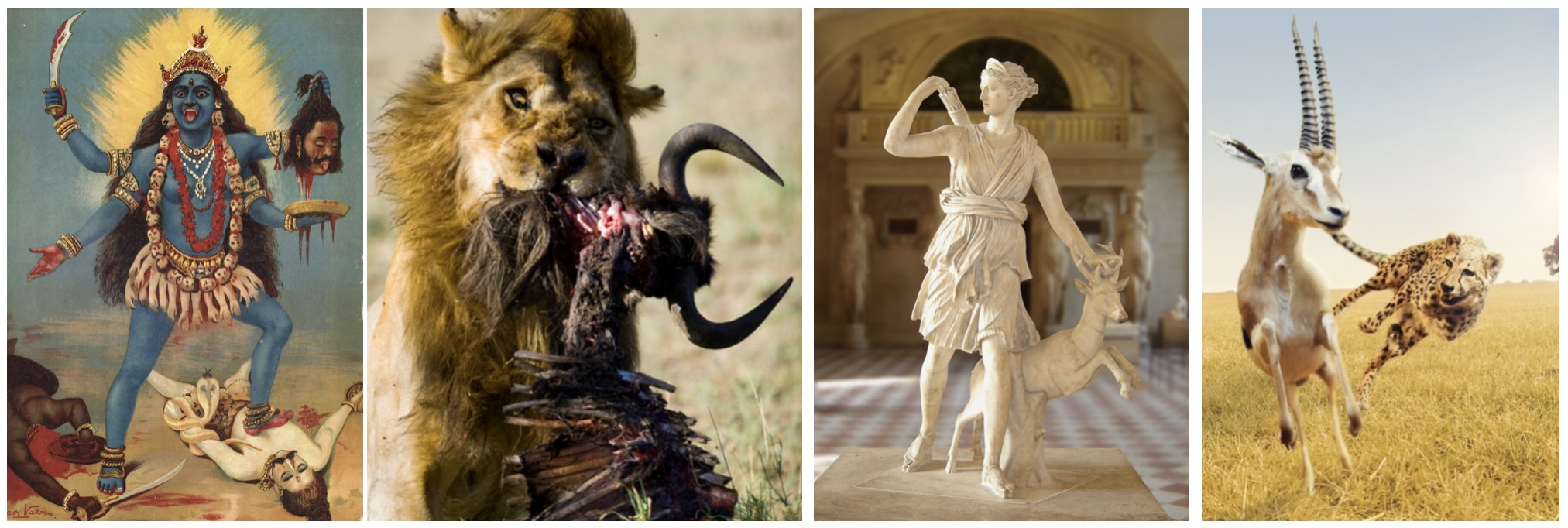 Screenshot 2022-09-19 at 18.31.25